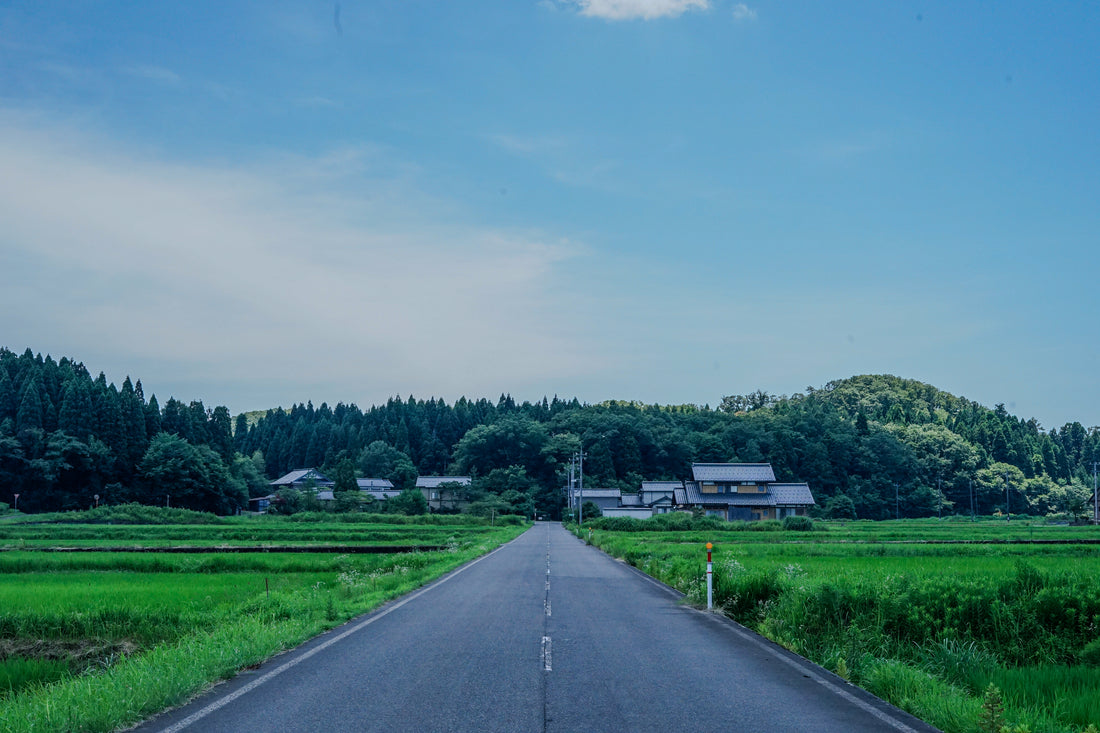 0. はじめに
