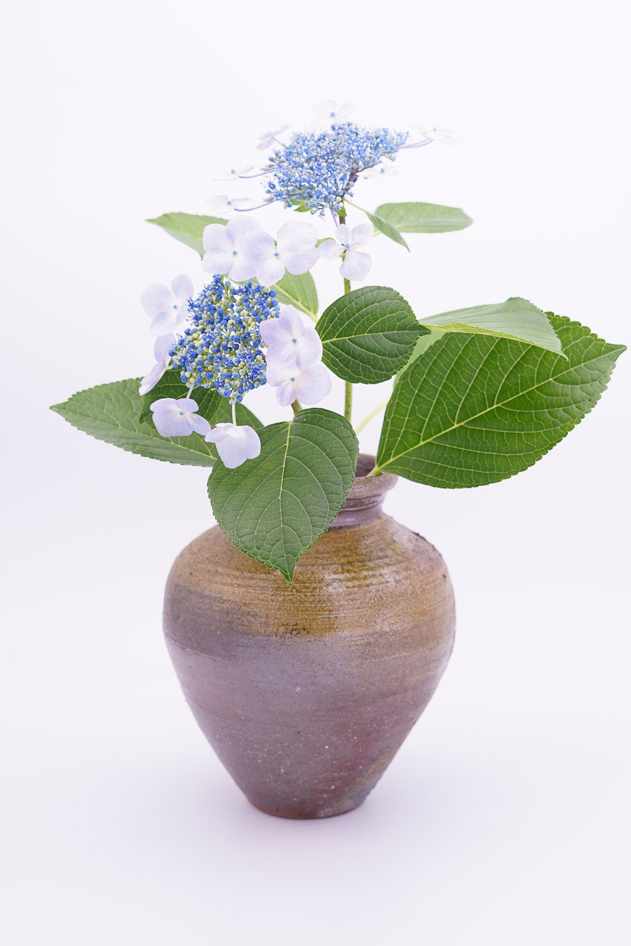 越前焼　越前　壺｜Echizen Ware "Echizen Jar"