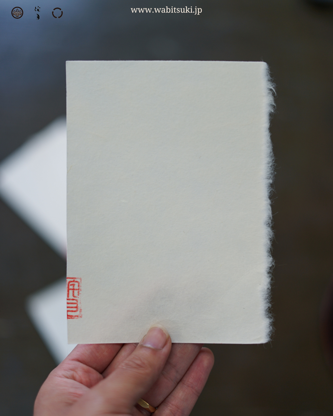 和紙千切りメッセージカード「越前雲肌麻紙」 | Echizen Japanese Paper CHIGIRI Message Cards "Kumohada Mashi"